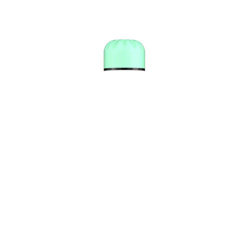 Neo Mint Lid