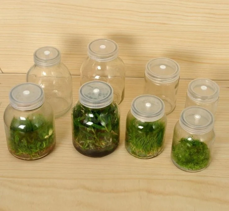 Bicchiere da coltura con sfiato sul coperchio, capacità da 195 a 1.000 ml