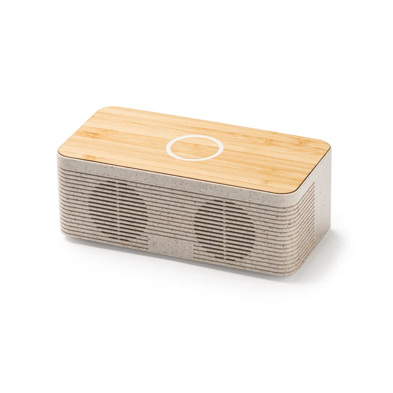 9079 Gospel - Speaker Wireless