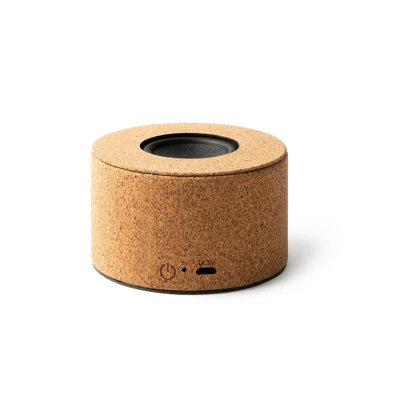 9110 Igor - Speaker