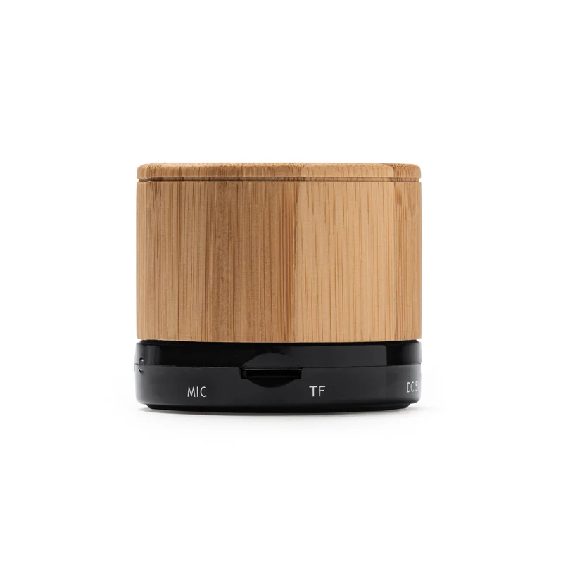 9084 Lester - Speaker Wireless