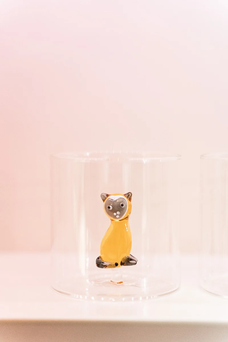 Bicchiere in vetro borosilicato con soggetto